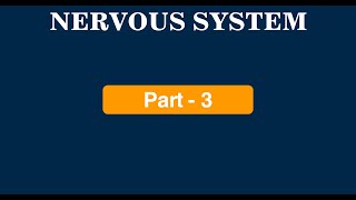 Nervous System Part  3  Protection of CNS  Meninges  CSF  Blood Brain Barrier  Ventricles [upl. by Olvan]