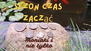 185 Poszukiwania detektorem  Sezon czas zacząć 4k metaldetecting [upl. by Glass445]