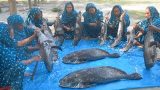 Black Snapper Fish Kalia Recipe  Kalo Koral Fish Curry Cooking for Villagers  Fish Cutting [upl. by Uhp]