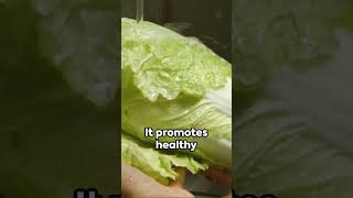 Cabbage Health Benefits and Tips [upl. by Mattah]