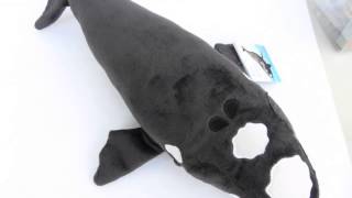 Southern Right Whale Soft Toy with authentic sound [upl. by Ivets]