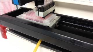 Thermo Matrix Wellmate 8Channel Microplate Dispenser with Stacker SN 2012389 BOSTONIND  6693 [upl. by Ardenia652]