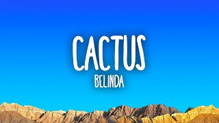 Belinda  Cactus [upl. by Ragucci]