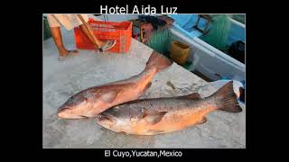 Where´s El Cuyo YucatanBetween Rio Lagartos and Holbox [upl. by Salakcin]