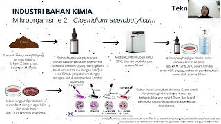TUGAS PRESENTASI TEKNIK ISOLASI MIKROBA UNTUK INDUSTRI [upl. by Marshall658]
