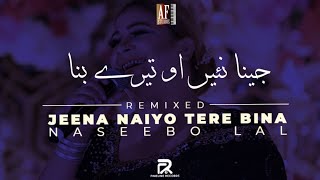 Jeena Naiyo Tere Bina  Naseebo Lal  Disco Remix  2024 [upl. by Wiltsey]