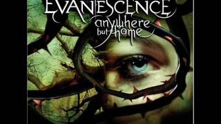 Evanescence  Going Under Live [upl. by Xella]