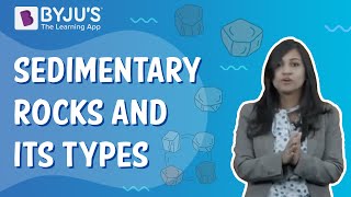 What Are Sedimentary Rocks And How Are They Formed  Class 5  Learn With BYJUS [upl. by Dunning508]