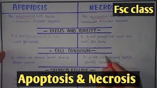 Apoptosis And Necrosis  Class 12 Biology [upl. by Mathian]