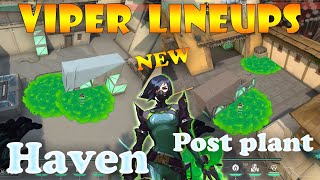 Top 15 New Haven Viper Post Plant Lineups  Viper Lineups Haven  Viper Guide Haven [upl. by Bramwell]