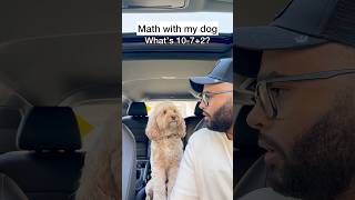 Mini Cockapoo Thinks Hard About These Math Questions 😳 [upl. by Monia294]