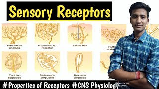 Sensory ReceptorsProperties of Receptors  CNS Physiology LecturesMBBS hindi Ashish [upl. by Enilauqcaj]