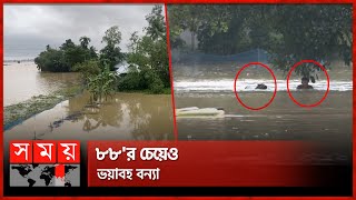 হঠাৎ বন্যায় তলিয়ে যাচ্ছে গ্রামের পর গ্রাম  Flood News  Heavy Rain  Sherpur  Mymensingh Somoy TV [upl. by Egwin]