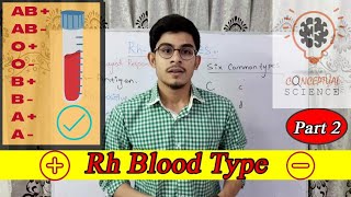 RhBlood Types  Positive and Negative Blood groups [upl. by Chastity287]