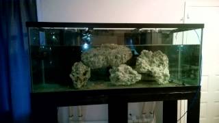 210 Gallon Reef Tank Build [upl. by Odlaumor]