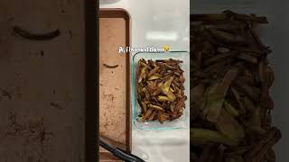 easy homemade fries watch til the end 😂  fries humor lol easyrecipe funny foodie food [upl. by Novahs]