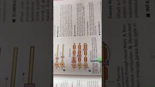 saltatory conduction  cns physiology [upl. by Ayatnwahs]