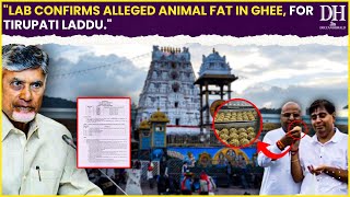 Tirupati Laddu row news Lab report confirms alleged use of animal fat in ghee supplied to Tirumala [upl. by Nosnev748]