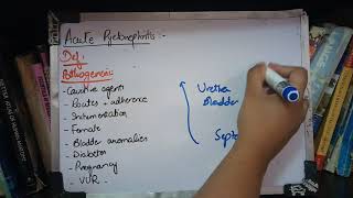 RENAL PATHOLOGY lecture 13a ACUTE PYELONEPHRITIS must watch to get it [upl. by Dong538]