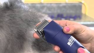 ProClip UltraEdge Super 2Speed Detachable Blade Clipper  22405 Blue AGC2 [upl. by Ellitnahc]