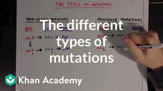 The different types of mutations  Biomolecules  MCAT  Khan Academy [upl. by Anatnas]