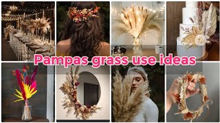 Pampas Grass Use Ideas 2024Diy Pampas GrassWedding Decor Ideas Room Decor Ideas 2024 [upl. by Redleh]