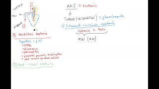 Nephrology 7 ENG acute kidney injury AKI prerenal intrarenal postrenal azotemia AIN gout [upl. by Dunham]