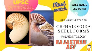 CEPHALOPODA SHELL FORMS  Geology Paleontology Optional for UPSC IAS and Indian Forest Service [upl. by Aber]