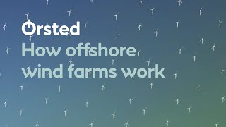 How Offshore Wind Farms Work [upl. by Sallyann]