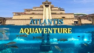 ATLANTIS AQUAVENTURE WATER PARK  THE PALM  DUBAI 4K [upl. by Terena687]