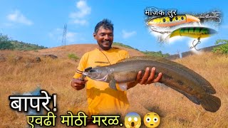 पकडली आता पर्यंतची सर्वात मोठी मरळ Amazing Big SnekeheadMurrel fishing in dam [upl. by Nongim688]