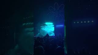 Zedd Lollapalooza 2024  Clarity [upl. by Malory]