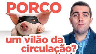 Carne de porco é remoso e entope as veias e causa má circulação trombose AVC infarto e embolia [upl. by Irahcaz738]