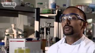 Career Advice on becoming a Formulation Scientist by Ryan S Full Version [upl. by Anayhd]