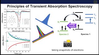 Principles of Transient Absorption Spectroscopy  Part 1 [upl. by Kokaras398]