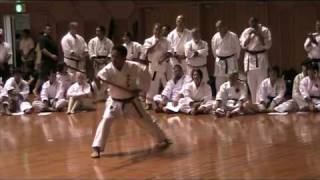 Kata TOKUMINE NO KON  Demonstration at Okinawa World Karatedo Tournament 2009 [upl. by Nautna]