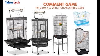 How to Choose Bird Cages [upl. by Navinod253]