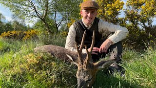 Bukkejagt i Skotland  Roebuck hunting in Scotland  Bockjagd in Schottland [upl. by Molahs]