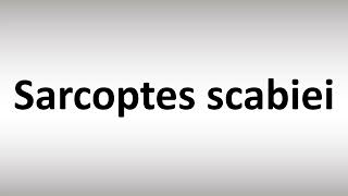 How to Pronounce Sarcoptes scabiei [upl. by Gweneth]