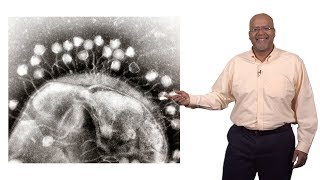 Paul E Turner Yale 3 Phage Therapy [upl. by Andeee]