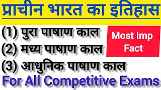 पाषाण काल  प्राचीन भारत का इतिहास  Ancient History  For All Competitive Exams  By Royal Tuition [upl. by Millhon]