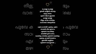 Adiye song lyricsmalayalam lyrics trending feelthemusic shorts song shortsfeed [upl. by Iggam]