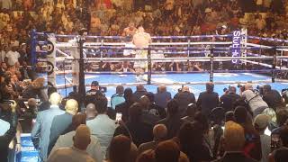 Anthony Joshua vs Andy Ruiz  Round 3 Knockdowns 060119 [upl. by Adekan]