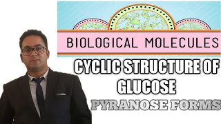 CYCLIC STRUCTURE OF GLUCOSE  PYRANOSE AND FURANOSE FORMS  BIOMOLECULES [upl. by Nirek233]