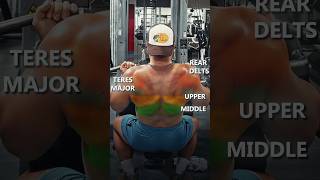 All variations of Lat Pulldown and their targeted muscle groups under 50s  Tutorial gym shorts [upl. by Nathalie]