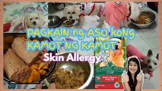 PAGKAIN NG ASO KO NA MAY SKIN ALLERGY  KATI KATI [upl. by Sivat]