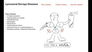 Lysosomal Storage Diseases Memory Tools [upl. by Firmin]