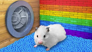 Hamster Escapes the Rainbow Bank 🐹 DIY Hamster Maze [upl. by Akiraa739]