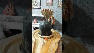 Shree mahakal Divya shringar darshan  lordshiva mahakalshringar shivshringar religion [upl. by Faro208]