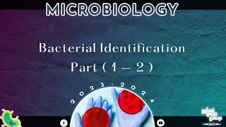 Pract 7 8 Bacterial Identification and biochemical reactions Microbiology [upl. by Luttrell]